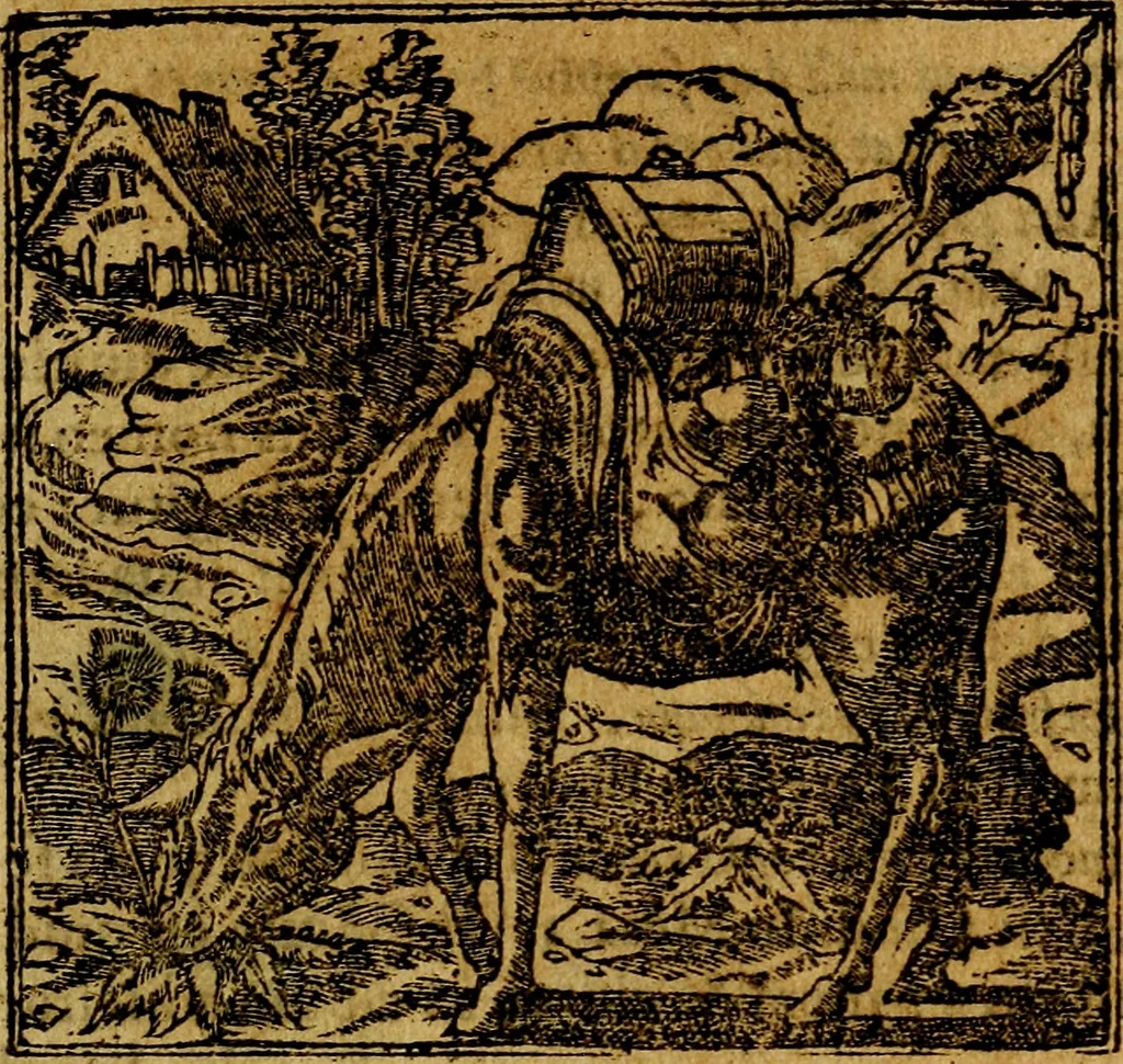 An illustration from Francisci Sanctii Brocensis .., 1573, leaf 272