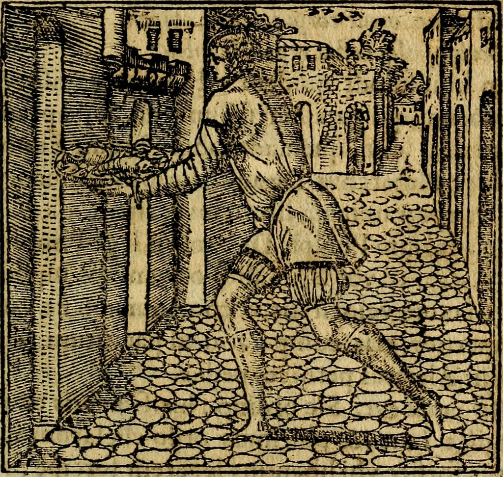 An illustration from Francisci Sanctii Brocensis .., 1573, leaf 288