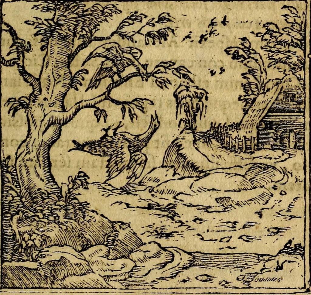 An illustration from Francisci Sanctii Brocensis .., 1573, leaf 290