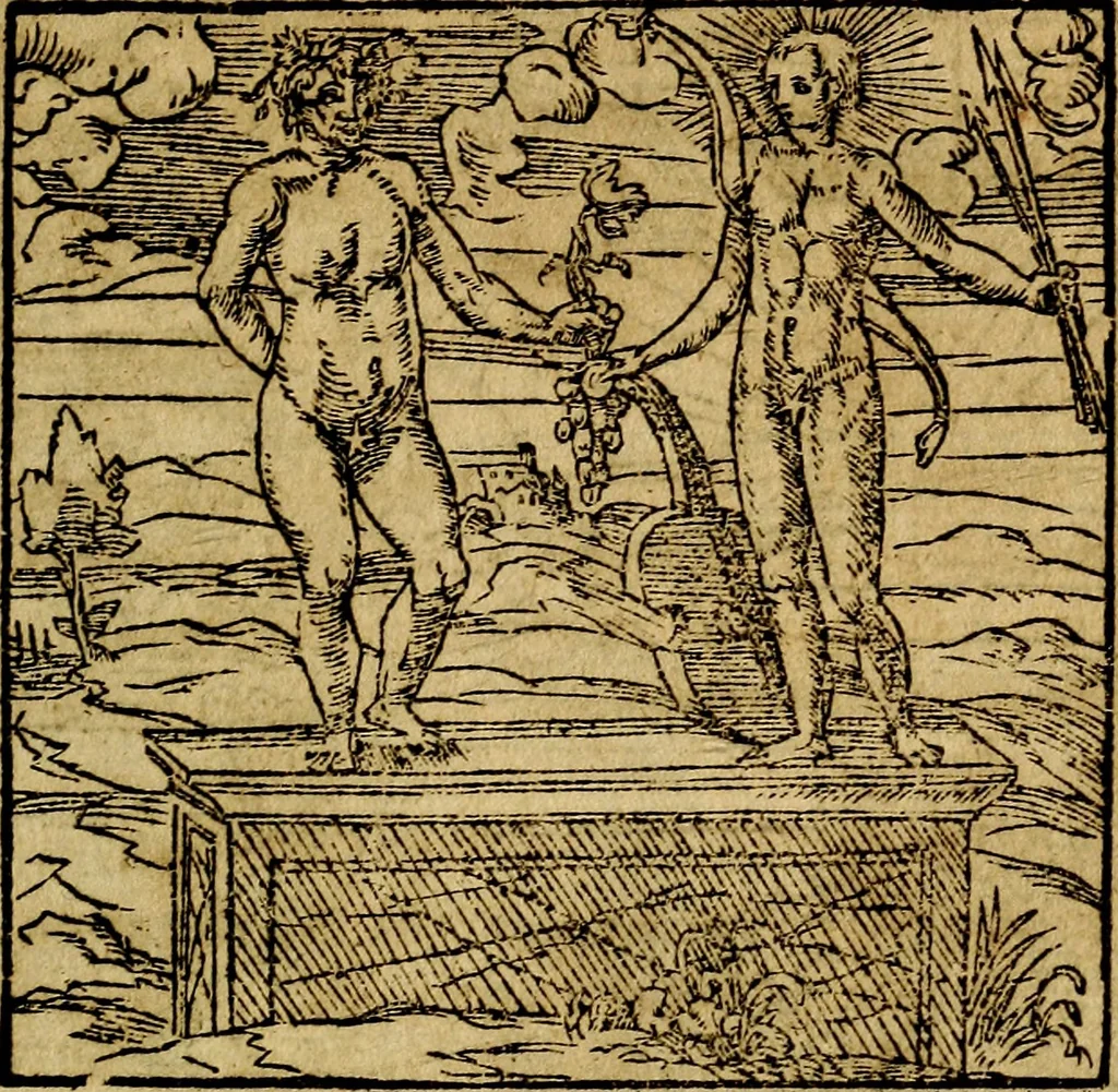 An illustration from Francisci Sanctii Brocensis .., 1573, leaf 306
