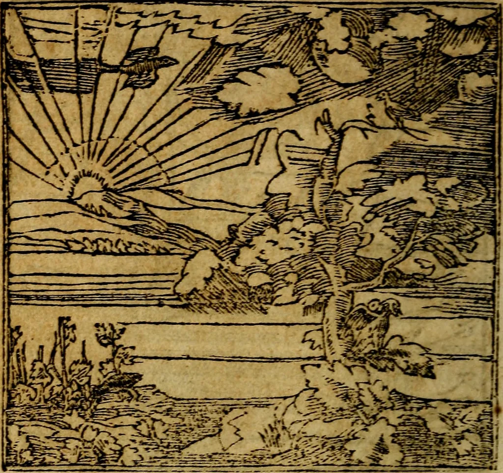 An illustration from Francisci Sanctii Brocensis .., 1573, leaf 307