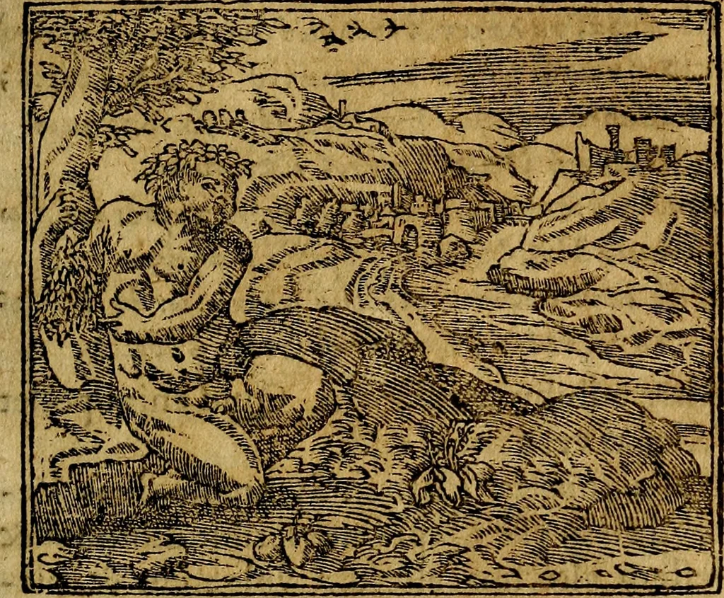 An illustration from Francisci Sanctii Brocensis .., 1573, leaf 330