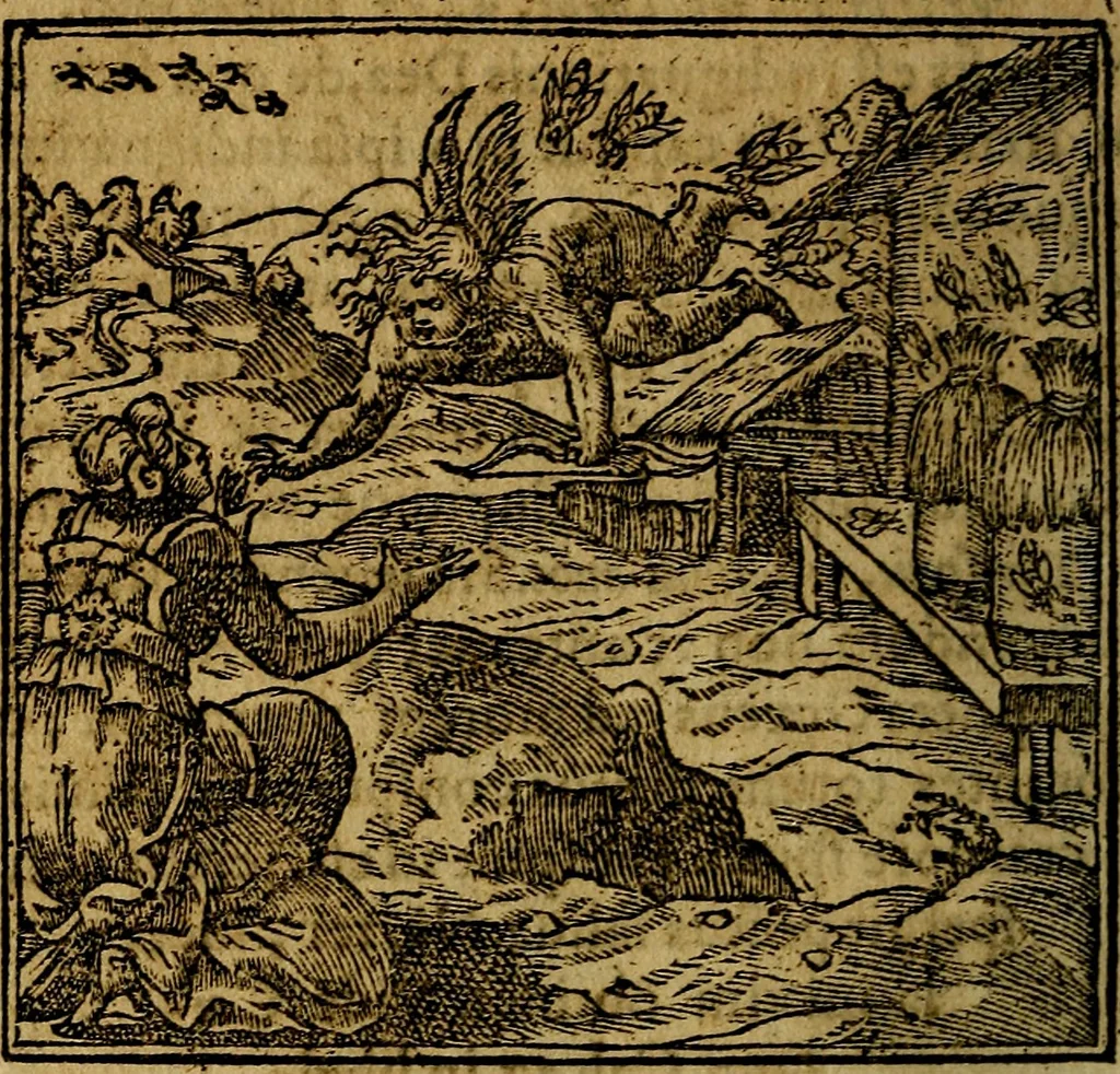 An illustration from Francisci Sanctii Brocensis .., 1573, leaf 335