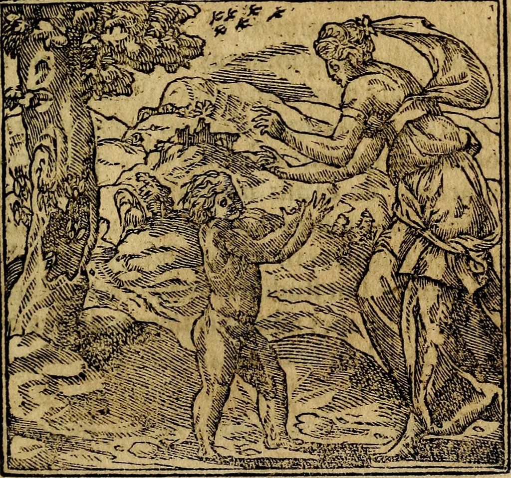 An illustration from Francisci Sanctii Brocensis .., 1573, leaf 336