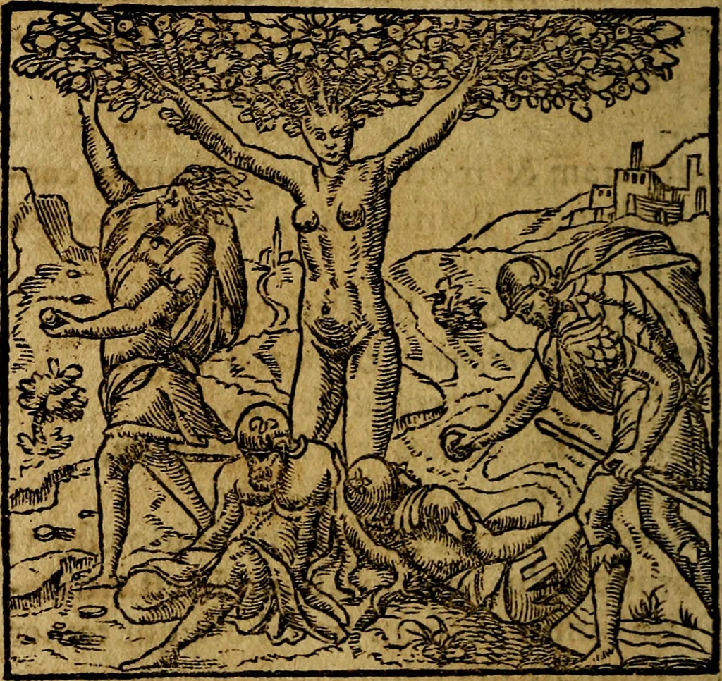 An illustration from Francisci Sanctii Brocensis .., 1573, leaf 343