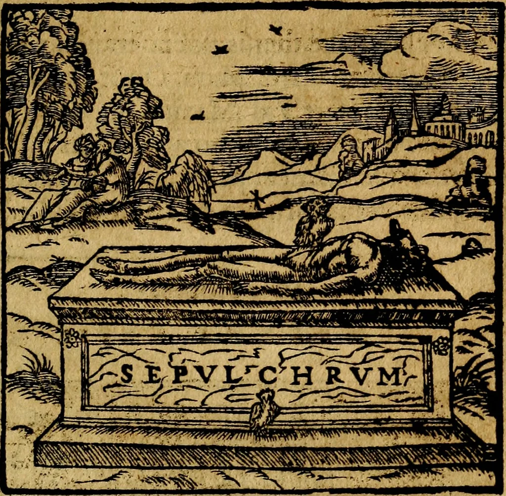An illustration from Francisci Sanctii Brocensis .., 1573, leaf 350