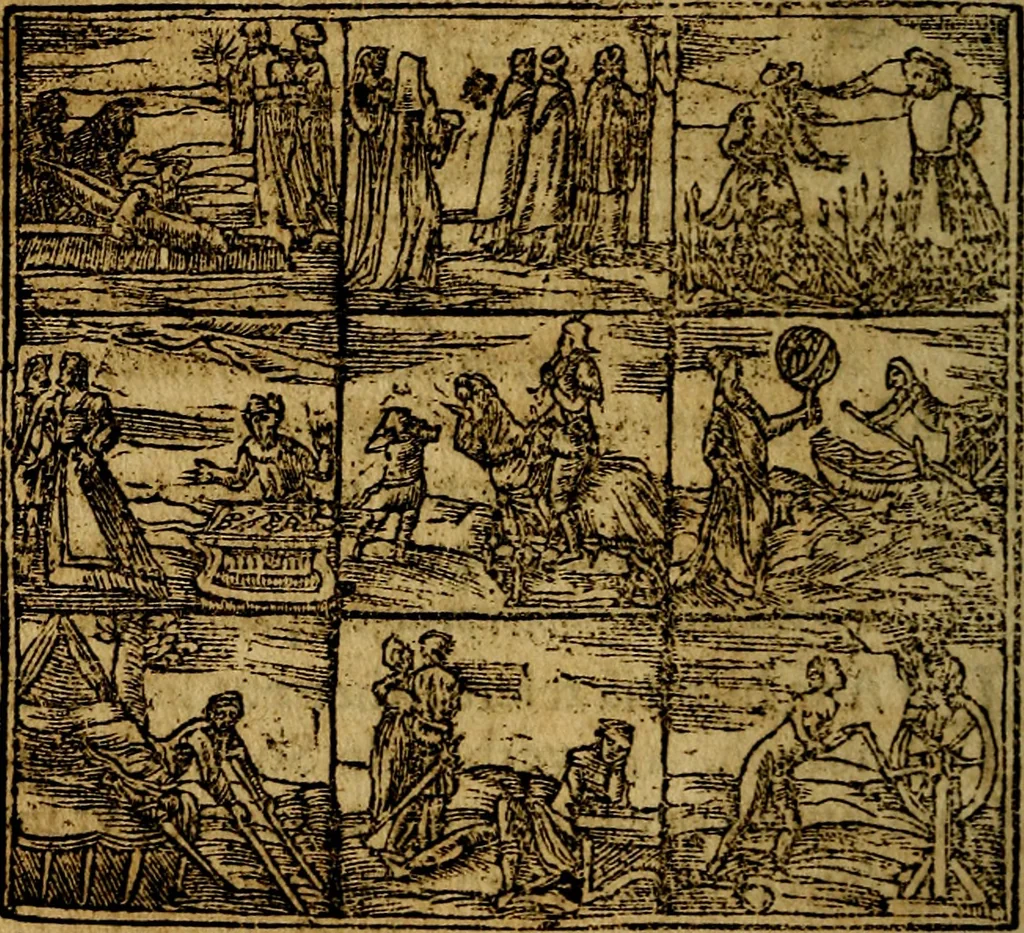 An illustration from Francisci Sanctii Brocensis .., 1573, leaf 351