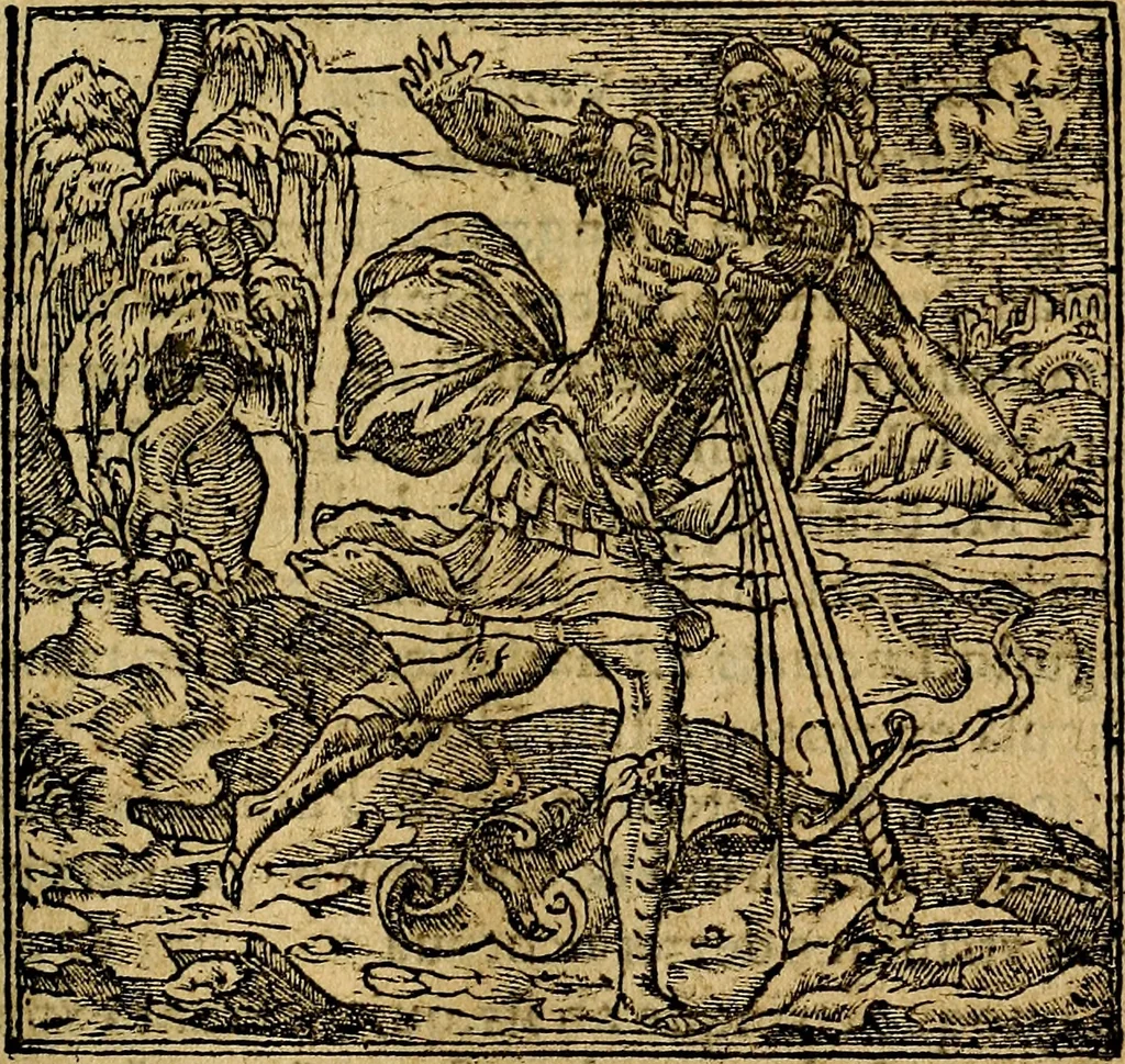 An illustration from Francisci Sanctii Brocensis .., 1573, leaf 358