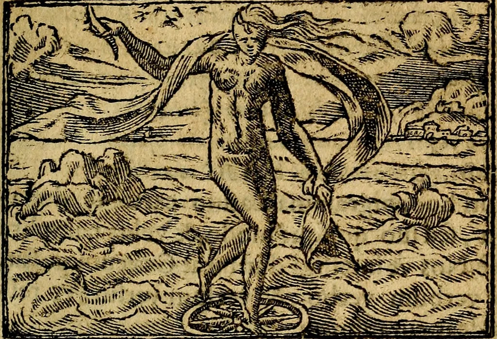 An illustration from Francisci Sanctii Brocensis .., 1573, leaf 362