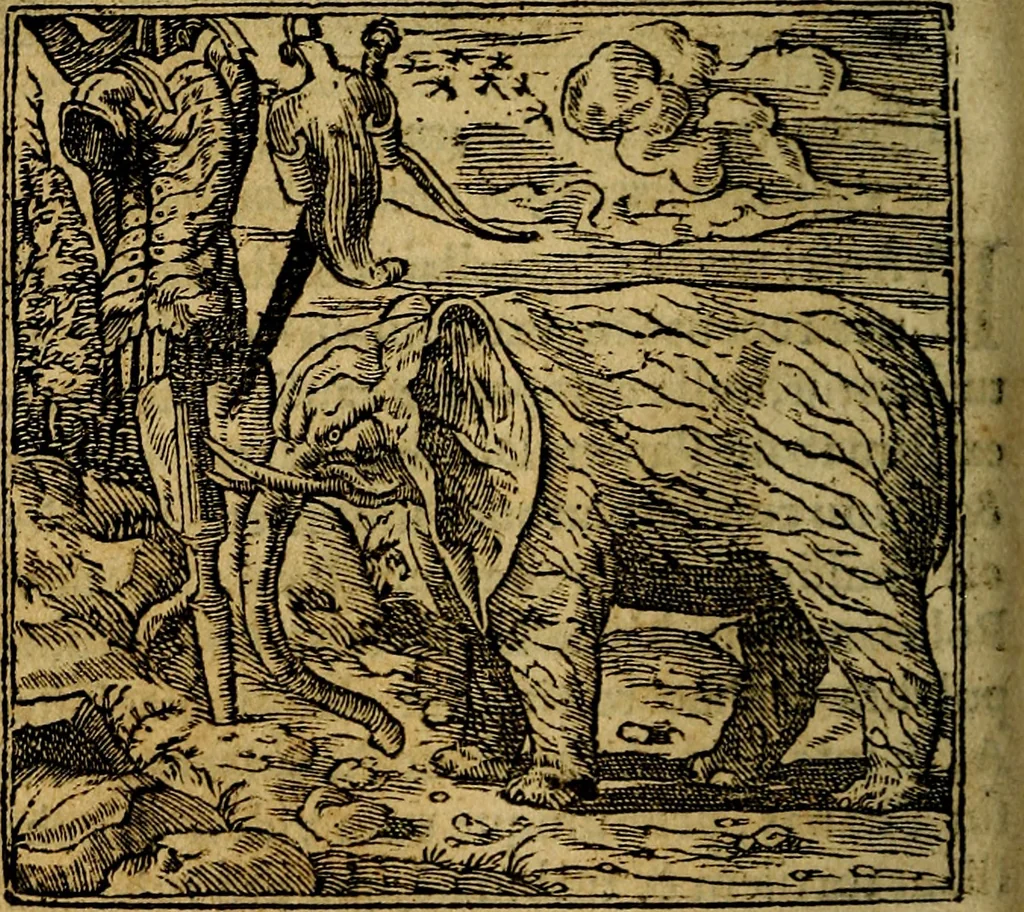 An illustration from Francisci Sanctii Brocensis .., 1573, leaf 367