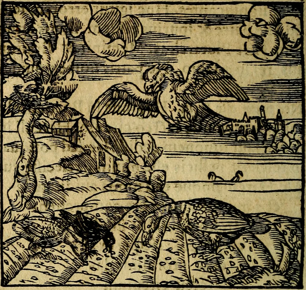 An illustration from Francisci Sanctii Brocensis .., 1573, leaf 411