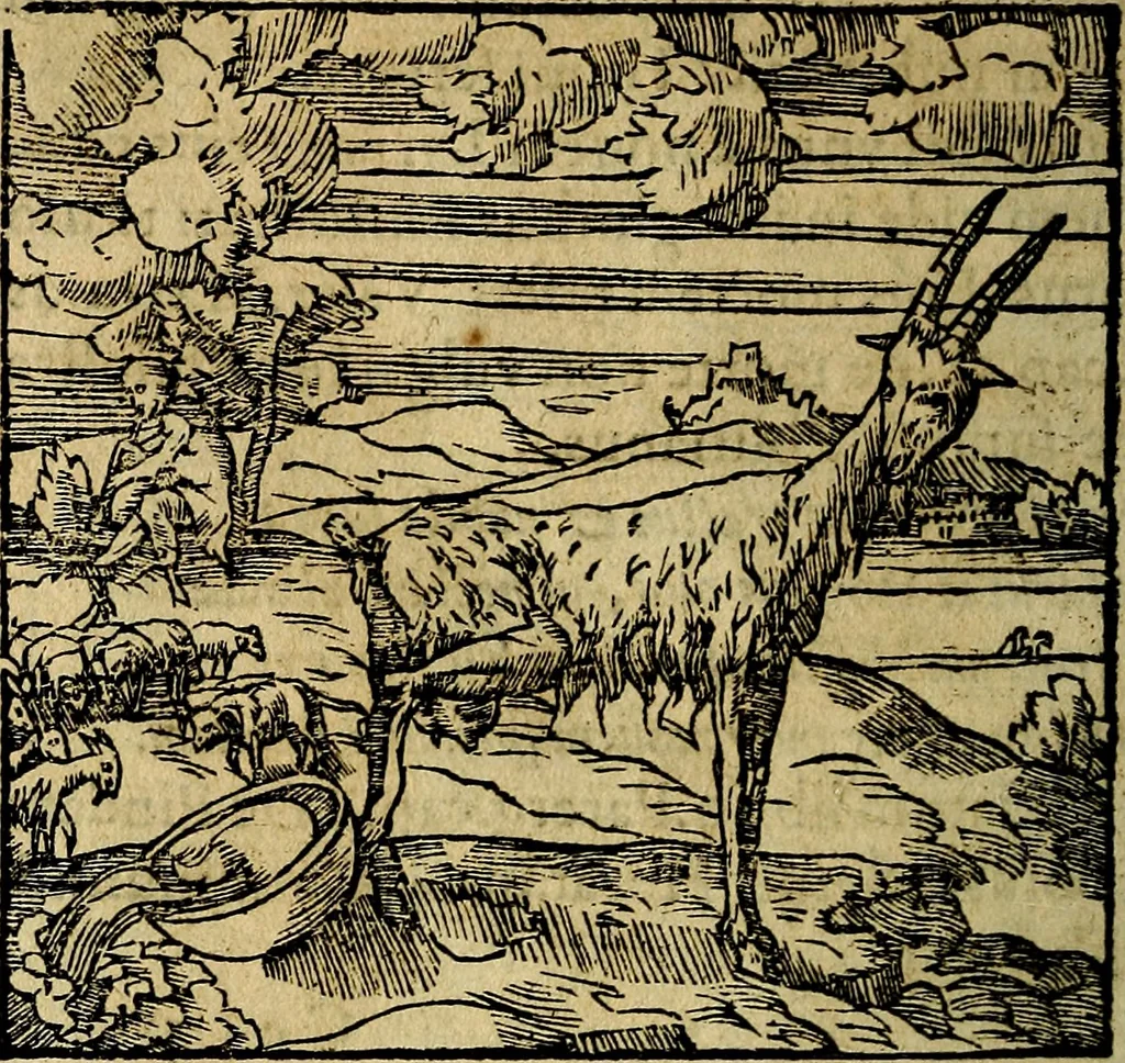 An illustration from Francisci Sanctii Brocensis .., 1573, leaf 413