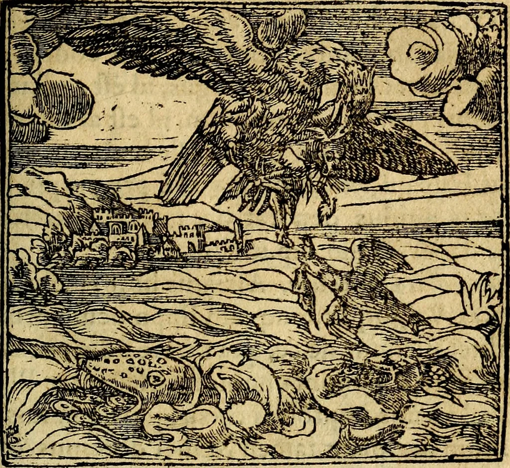 An illustration from Francisci Sanctii Brocensis .., 1573, leaf 414