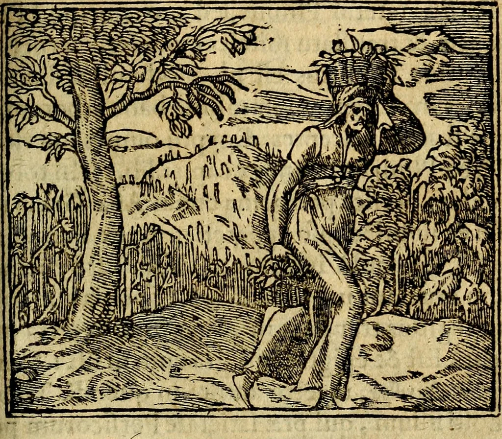 An illustration from Francisci Sanctii Brocensis .., 1573, leaf 416