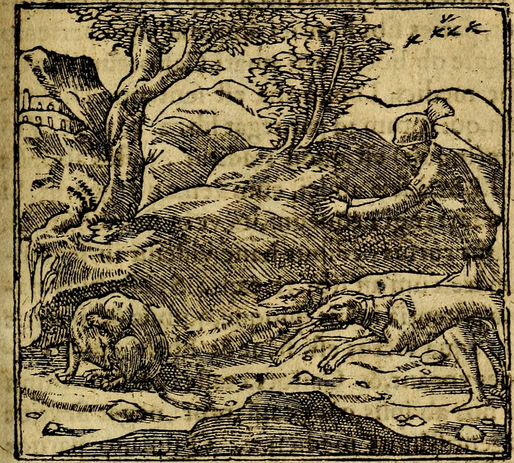 An illustration from Francisci Sanctii Brocensis .., 1573, leaf 438