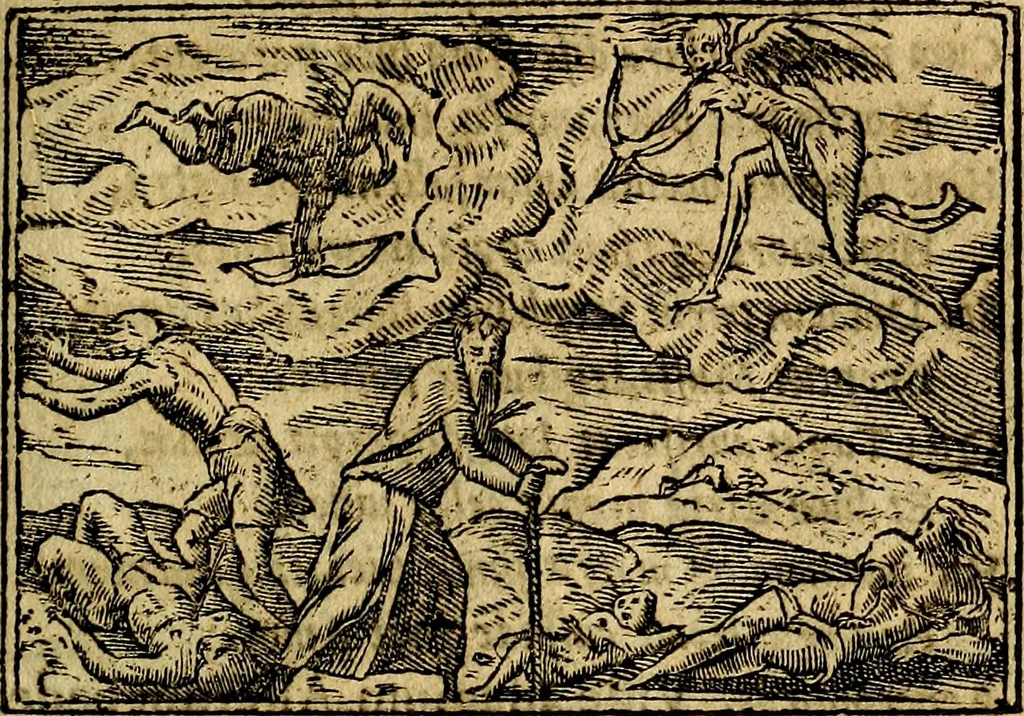 An illustration from Francisci Sanctii Brocensis .., 1573, leaf 442