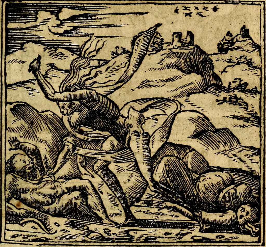 An illustration from Francisci Sanctii Brocensis .., 1573, leaf 444