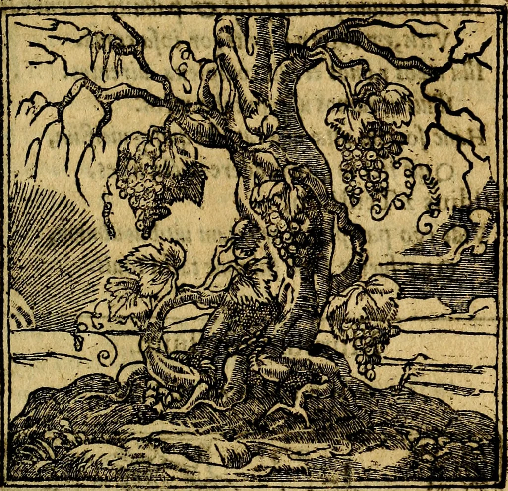 An illustration from Francisci Sanctii Brocensis .., 1573, leaf 456
