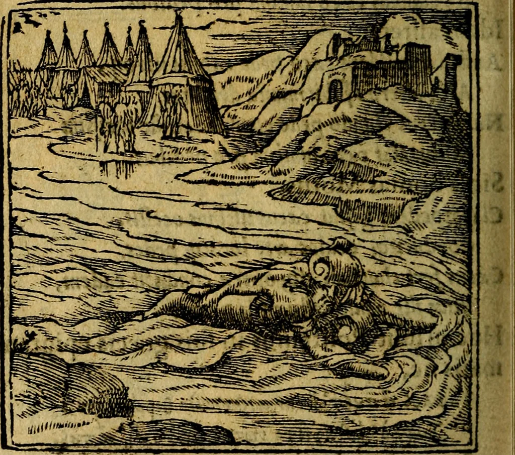 An illustration from Francisci Sanctii Brocensis .., 1573, leaf 459