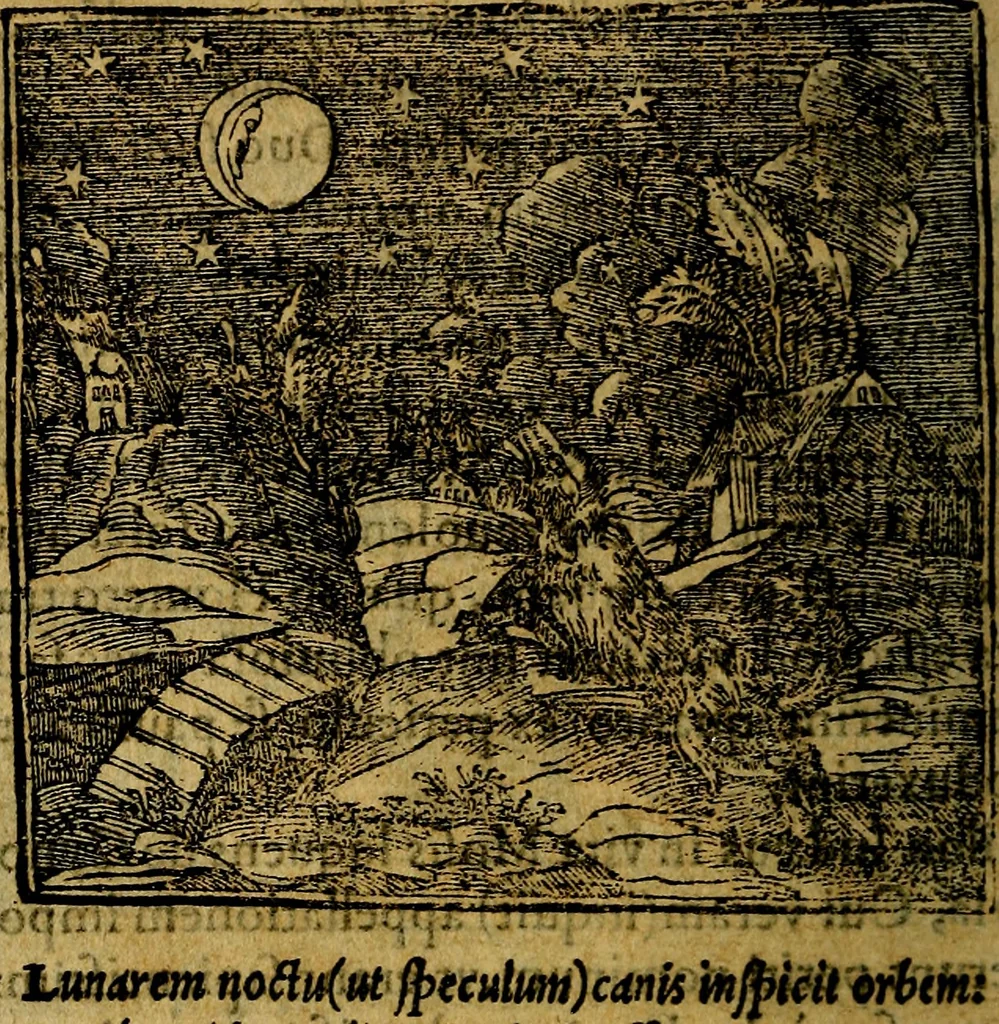 An illustration from Francisci Sanctii Brocensis .., 1573, leaf 467