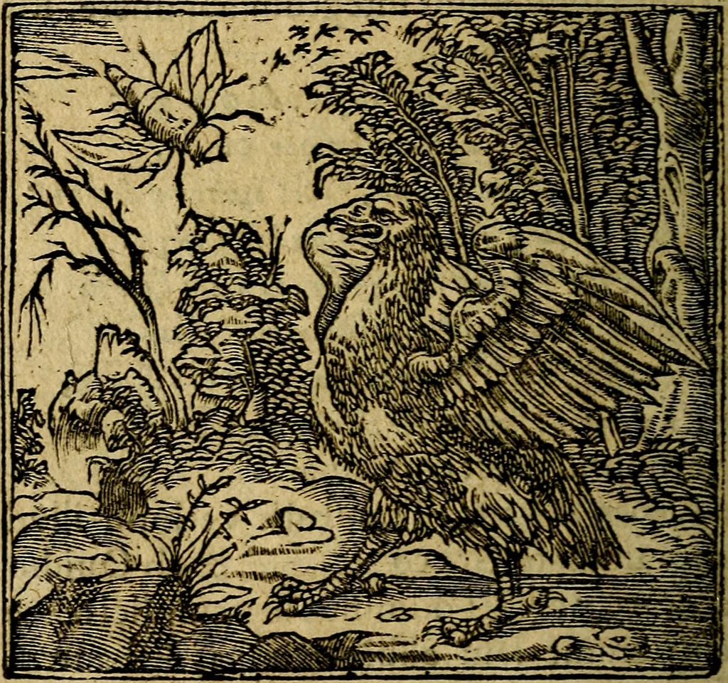 An illustration from Francisci Sanctii Brocensis .., 1573, leaf 473