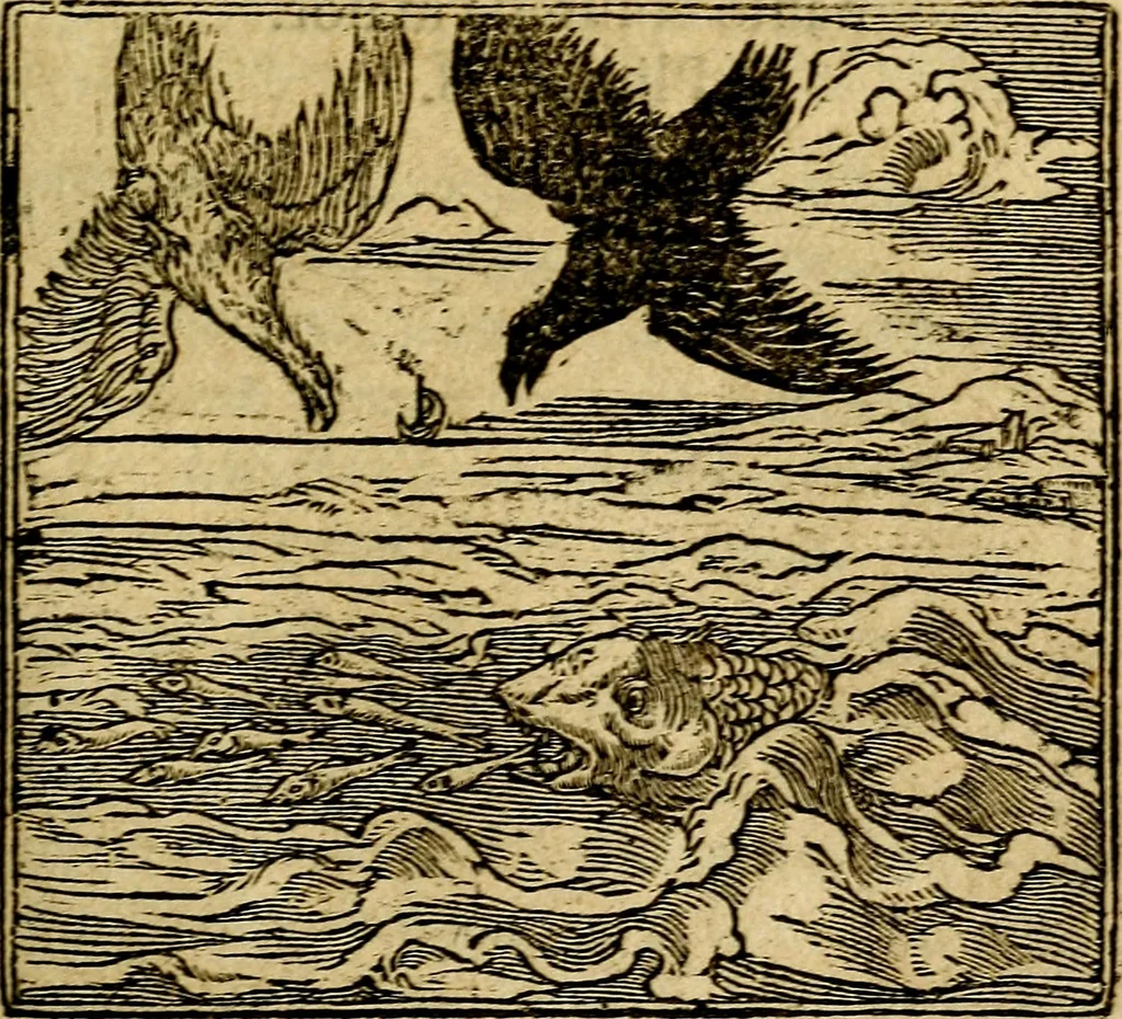An illustration from Francisci Sanctii Brocensis .., 1573, leaf 474