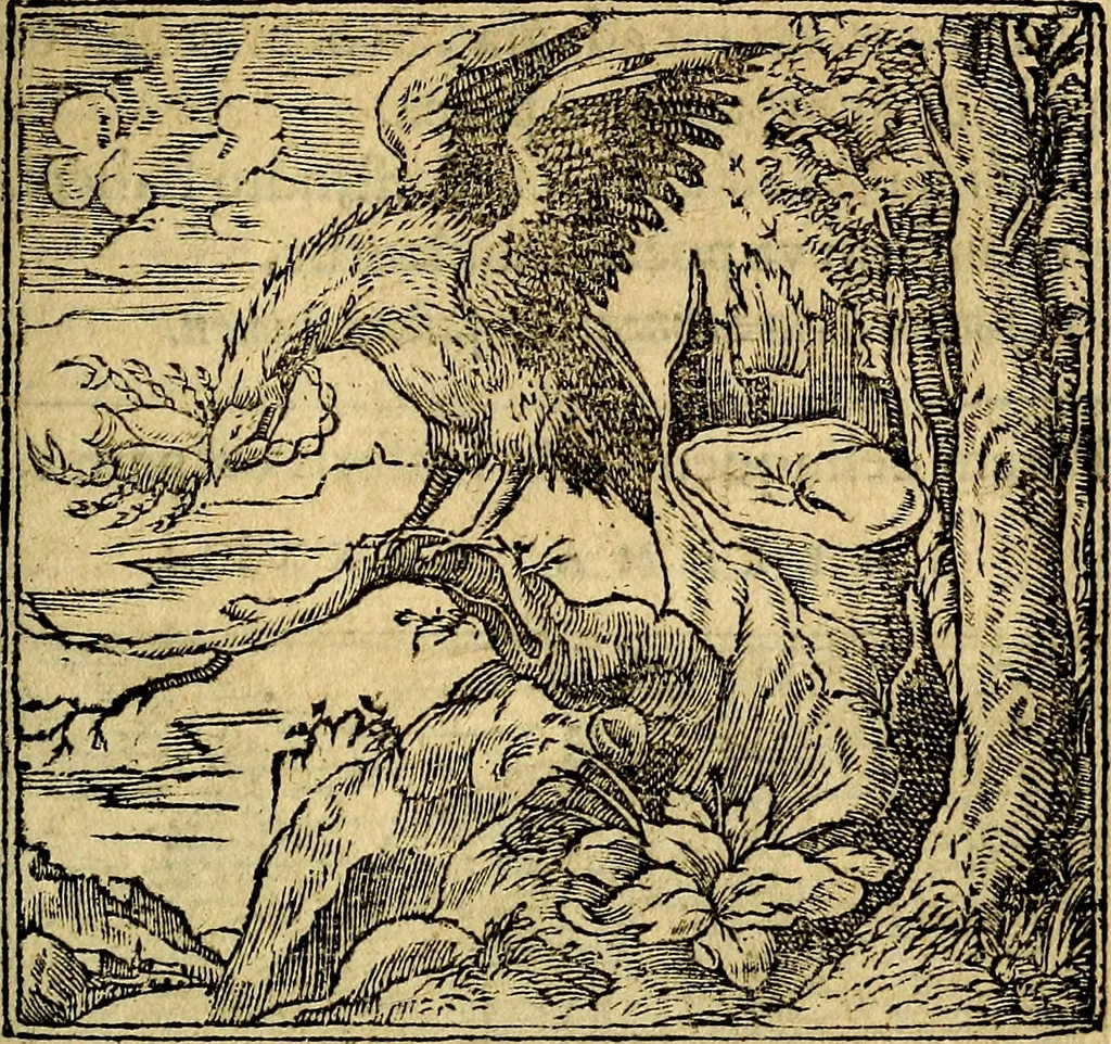 An illustration from Francisci Sanctii Brocensis .., 1573, leaf 480