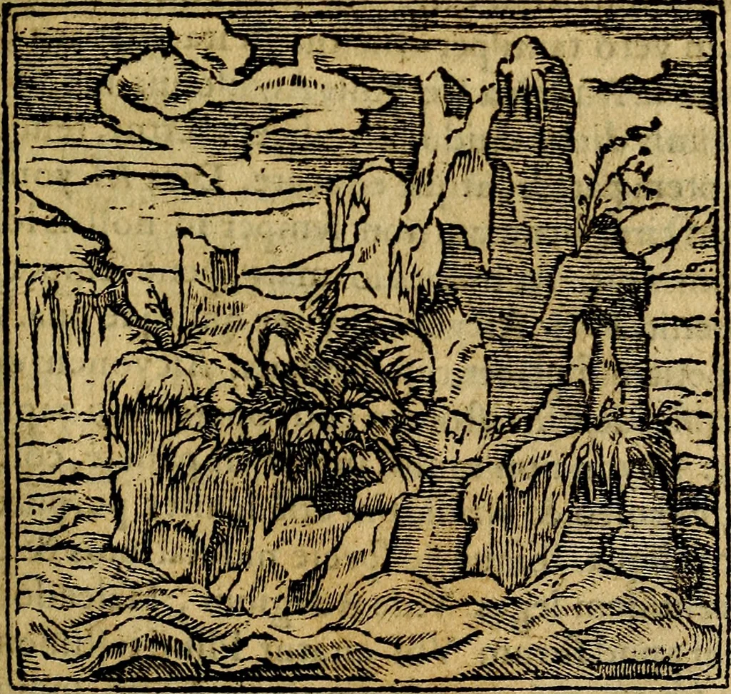 An illustration from Francisci Sanctii Brocensis .., 1573, leaf 488