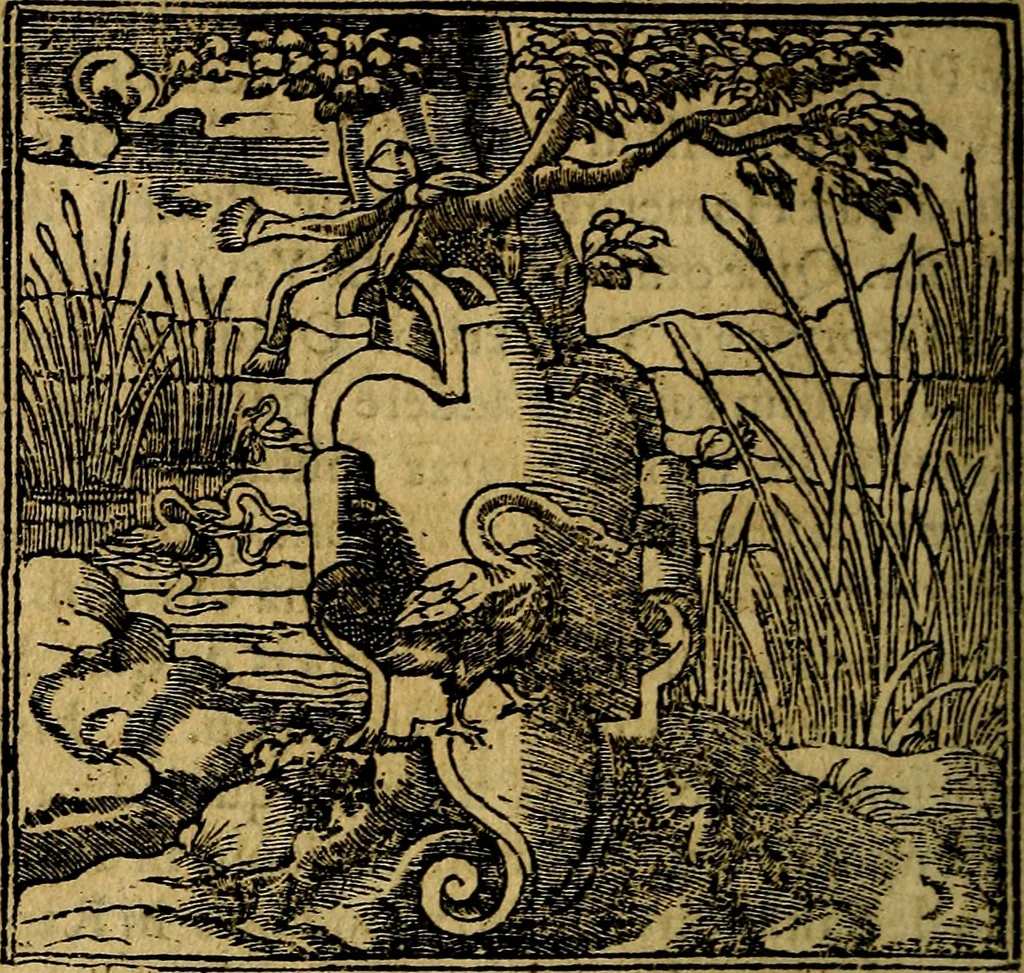 An illustration from Francisci Sanctii Brocensis .., 1573, leaf 503