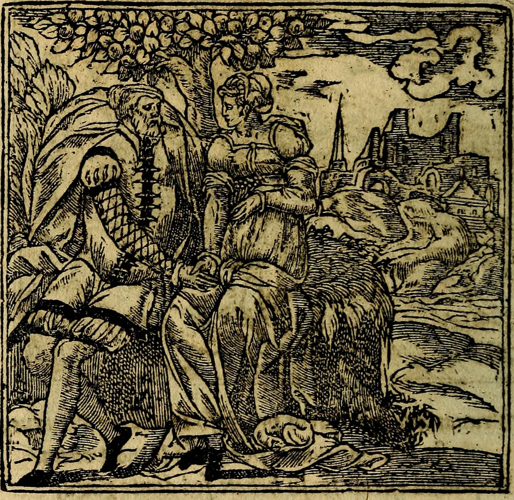 An illustration from Francisci Sanctii Brocensis .., 1573, leaf 527