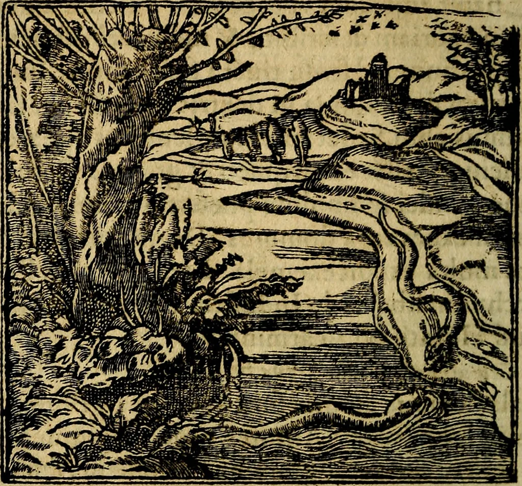 An illustration from Francisci Sanctii Brocensis .., 1573, leaf 529