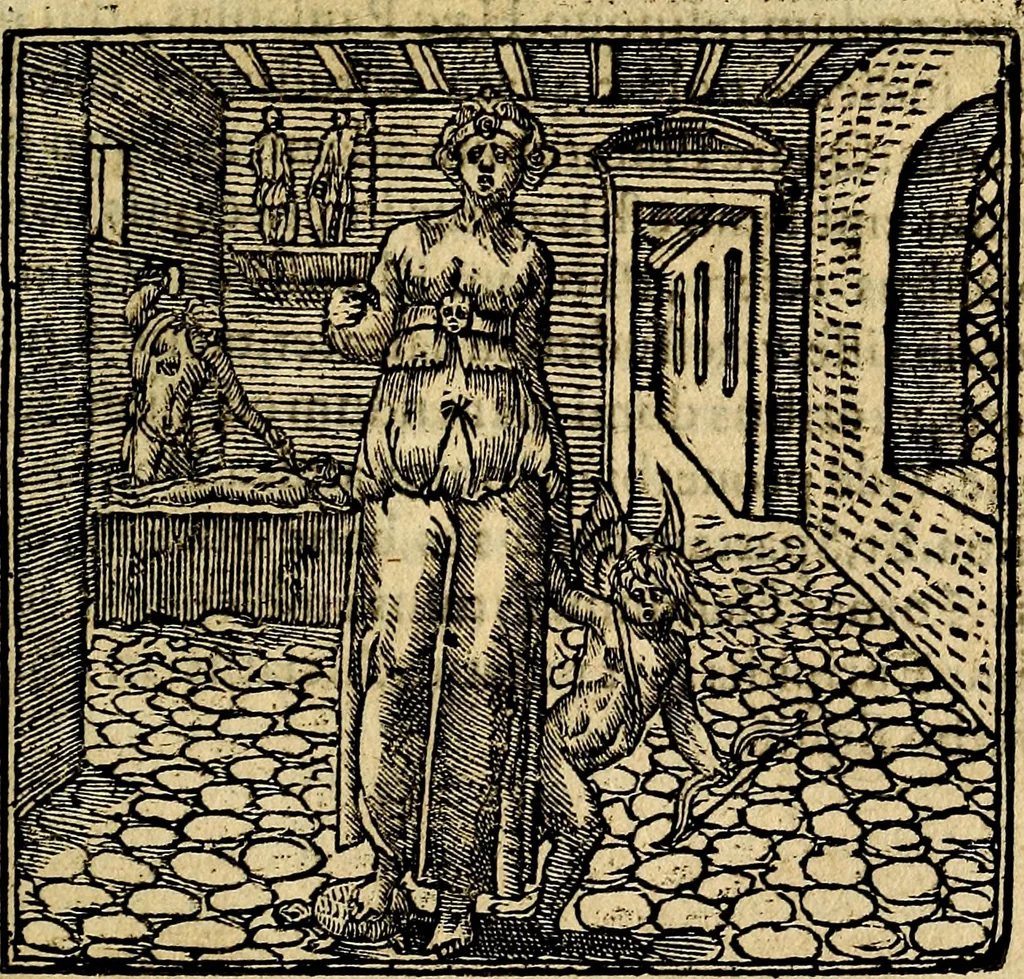 An illustration from Francisci Sanctii Brocensis .., 1573, leaf 536