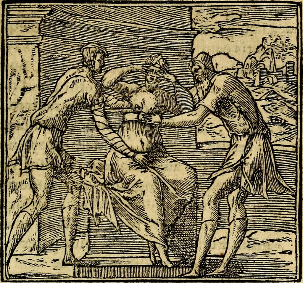 An illustration from Francisci Sanctii Brocensis .., 1573, leaf 538