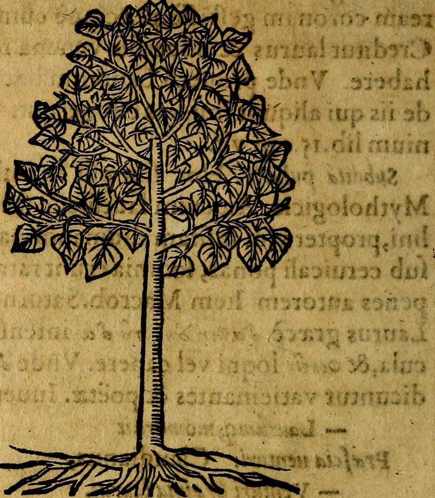 An illustration from Francisci Sanctii Brocensis .., 1573, leaf 561