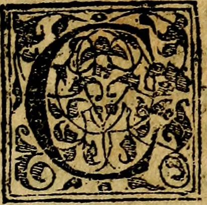 An illustration from Francisci Sanctii Brocensis .., 1573, leaf 6