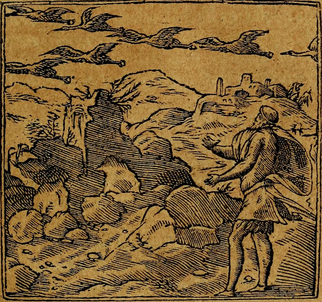An illustration from Francisci Sanctii Brocensis .., 1573, leaf 84