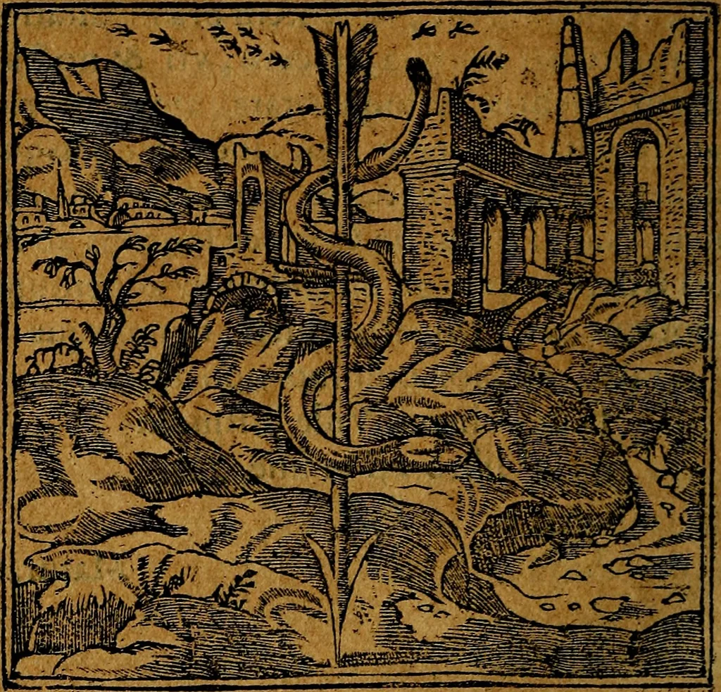 An illustration from Francisci Sanctii Brocensis .., 1573, leaf 95
