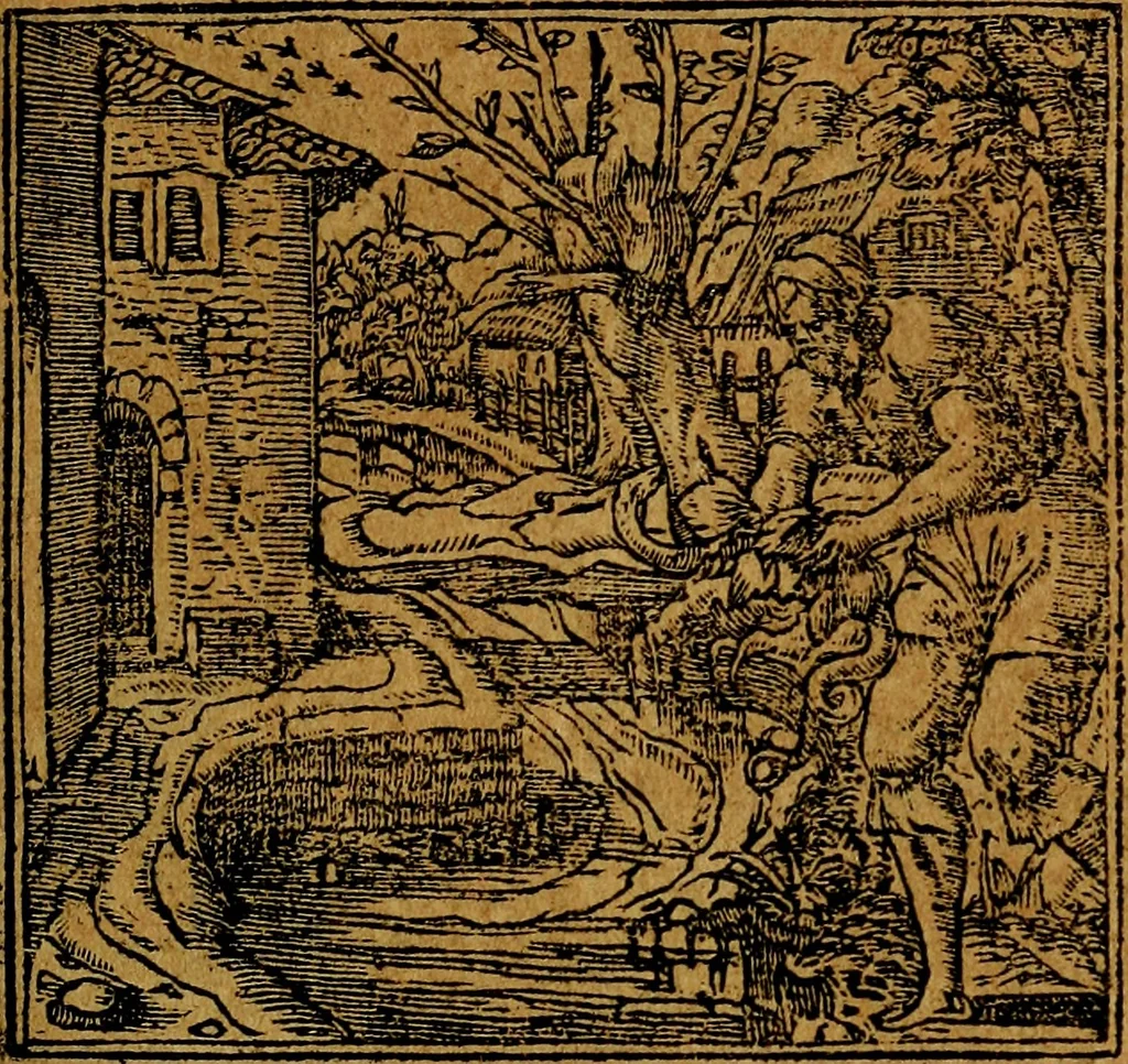 An illustration from Francisci Sanctii Brocensis .., 1573, leaf 98