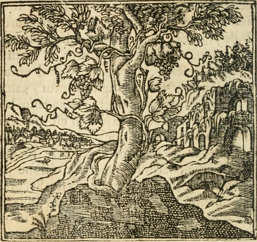 An illustration from Francisci Sanctii Brocensis In inclyta Salmaticensi Academia Rhetoricæ, Graecæque linguæ professoris Comment. in And. Alciati Emblemata : nunc denuò multis in locis accuratè recognita, & quamplurimis figuris illustrata ; cum indice copiosissimo, 1573, leaf 109