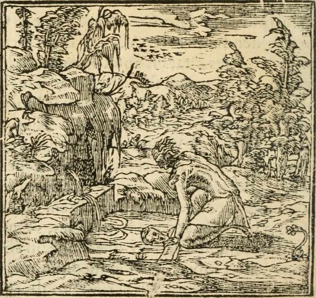 An illustration from Francisci Sanctii Brocensis In inclyta Salmaticensi Academia Rhetoricæ, Graecæque linguæ professoris Comment. in And. Alciati Emblemata : nunc denuò multis in locis accuratè recognita, & quamplurimis figuris illustrata ; cum indice copiosissimo, 1573, leaf 237