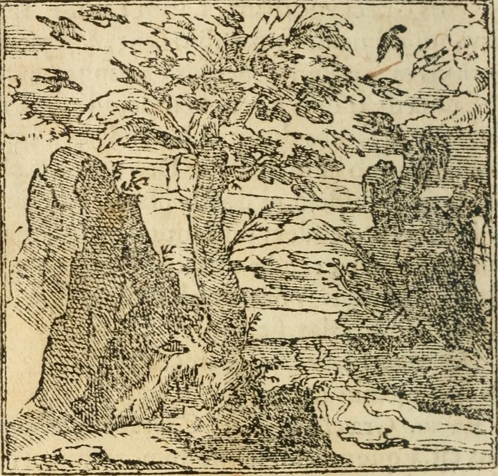 An illustration from Francisci Sanctii Brocensis In inclyta Salmaticensi Academia Rhetoricæ, Graecæque linguæ professoris Comment. in And. Alciati Emblemata : nunc denuò multis in locis accuratè recognita, & quamplurimis figuris illustrata ; cum indice copiosissimo, 1573, leaf 247