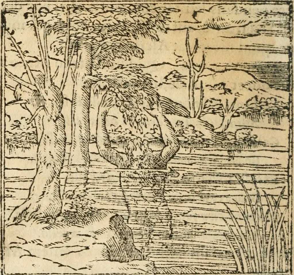 An illustration from Francisci Sanctii Brocensis In inclyta Salmaticensi Academia Rhetoricæ, Graecæque linguæ professoris Comment. in And. Alciati Emblemata : nunc denuò multis in locis accuratè recognita, & quamplurimis figuris illustrata ; cum indice copiosissimo, 1573, leaf 273