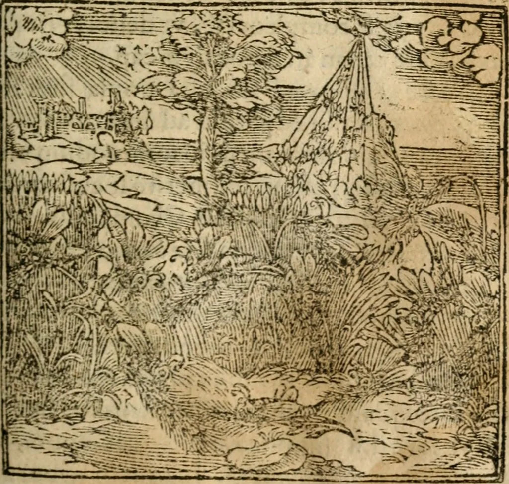 An illustration from Francisci Sanctii Brocensis In inclyta Salmaticensi Academia Rhetoricæ, Graecæque linguæ professoris Comment. in And. Alciati Emblemata : nunc denuò multis in locis accuratè recognita, & quamplurimis figuris illustrata ; cum indice copiosissimo, 1573, leaf 380