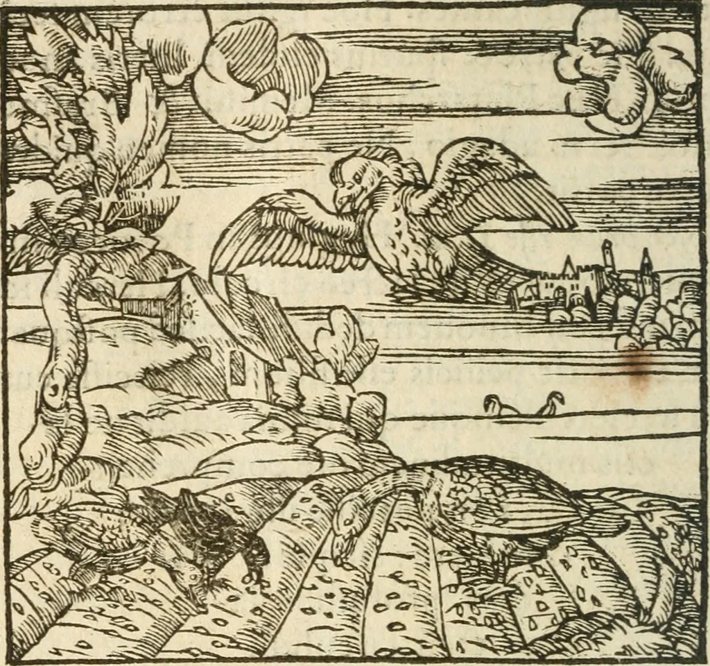 An illustration from Francisci Sanctii Brocensis In inclyta Salmaticensi Academia Rhetoricæ, Graecæque linguæ professoris Comment. in And. Alciati Emblemata : nunc denuò multis in locis accuratè recognita, & quamplurimis figuris illustrata ; cum indice copiosissimo, 1573, leaf 415