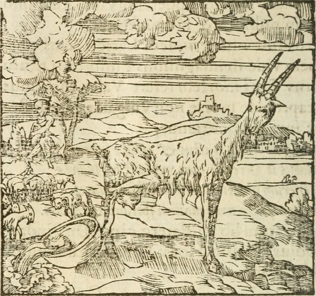 An illustration from Francisci Sanctii Brocensis In inclyta Salmaticensi Academia Rhetoricæ, Graecæque linguæ professoris Comment. in And. Alciati Emblemata : nunc denuò multis in locis accuratè recognita, & quamplurimis figuris illustrata ; cum indice copiosissimo, 1573, leaf 417