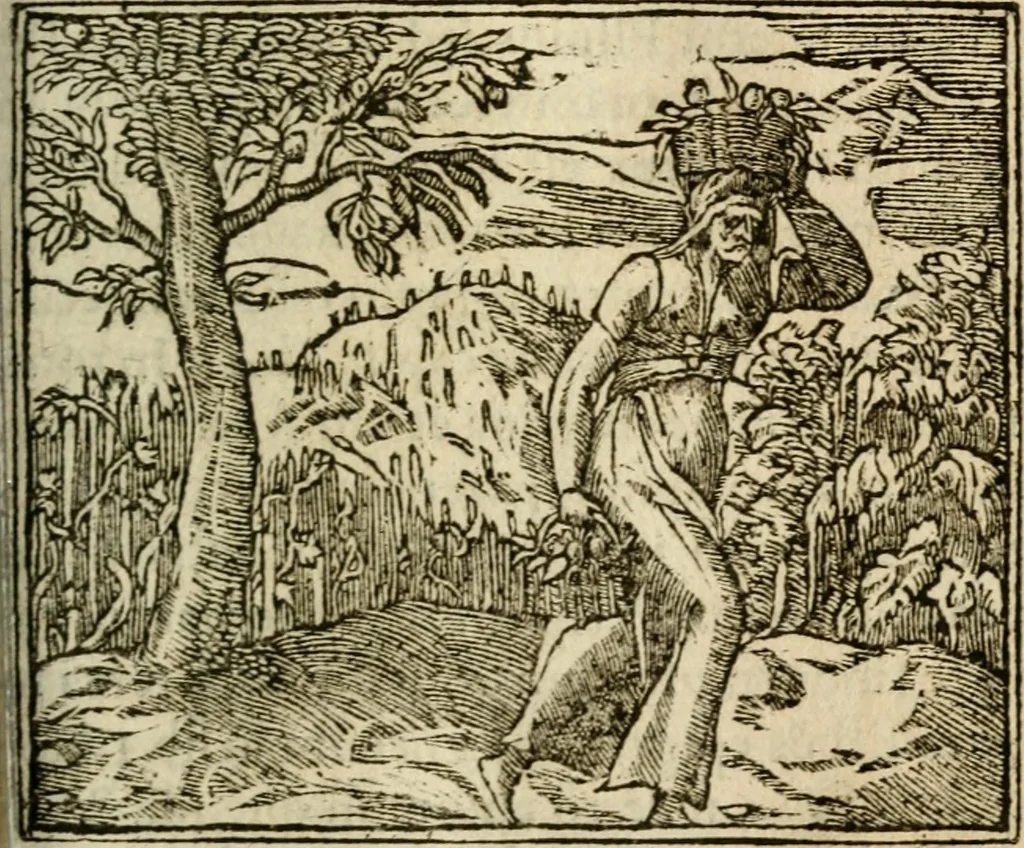 An illustration from Francisci Sanctii Brocensis In inclyta Salmaticensi Academia Rhetoricæ, Graecæque linguæ professoris Comment. in And. Alciati Emblemata : nunc denuò multis in locis accuratè recognita, & quamplurimis figuris illustrata ; cum indice copiosissimo, 1573, leaf 420