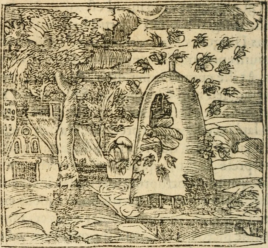 An illustration from Francisci Sanctii Brocensis In inclyta Salmaticensi Academia Rhetoricæ, Graecæque linguæ professoris Comment. in And. Alciati Emblemata : nunc denuò multis in locis accuratè recognita, & quamplurimis figuris illustrata ; cum indice copiosissimo, 1573, leaf 433