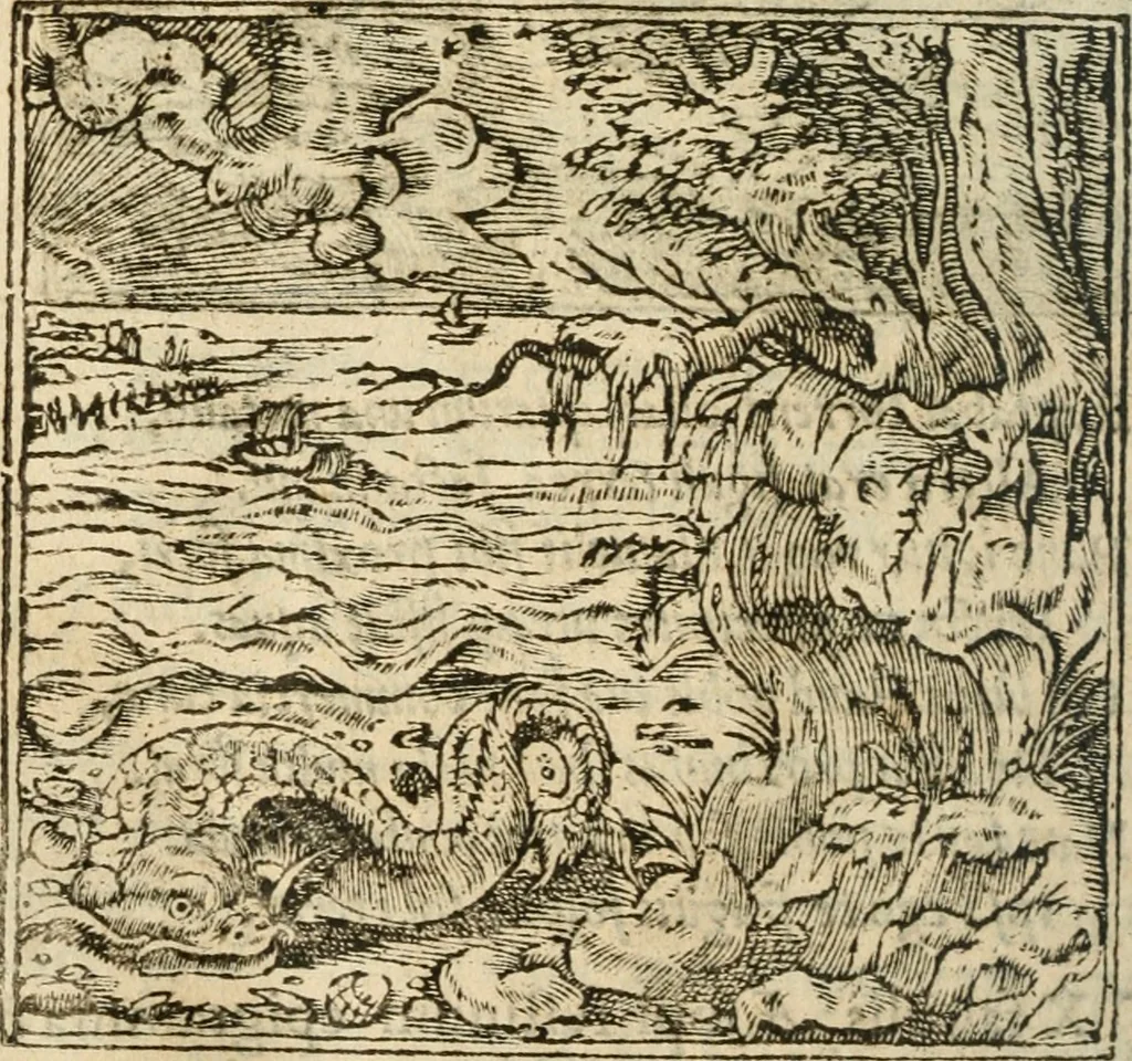 An illustration from Francisci Sanctii Brocensis In inclyta Salmaticensi Academia Rhetoricæ, Graecæque linguæ professoris Comment. in And. Alciati Emblemata : nunc denuò multis in locis accuratè recognita, & quamplurimis figuris illustrata ; cum indice copiosissimo, 1573, leaf 473