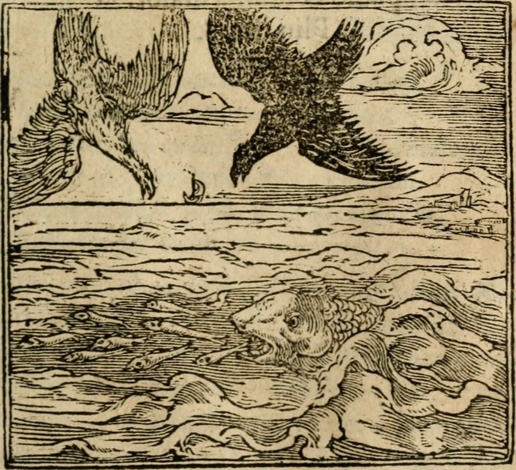 An illustration from Francisci Sanctii Brocensis In inclyta Salmaticensi Academia Rhetoricæ, Graecæque linguæ professoris Comment. in And. Alciati Emblemata : nunc denuò multis in locis accuratè recognita, & quamplurimis figuris illustrata ; cum indice copiosissimo, 1573, leaf 478
