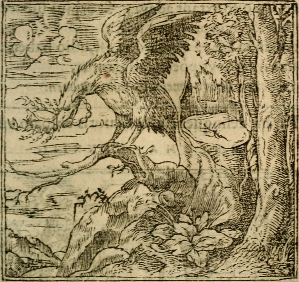 An illustration from Francisci Sanctii Brocensis In inclyta Salmaticensi Academia Rhetoricæ, Graecæque linguæ professoris Comment. in And. Alciati Emblemata : nunc denuò multis in locis accuratè recognita, & quamplurimis figuris illustrata ; cum indice copiosissimo, 1573, leaf 484